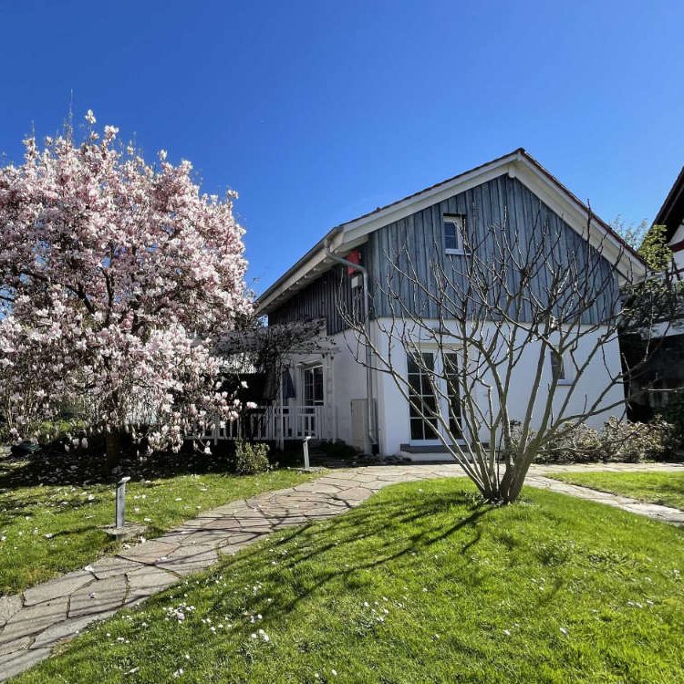 Das Ferienhaus Am Alten Stiftshof in Überlingen (Außenansicht). Haus vor blauem Himmel. Magnolienbaum im Garten.