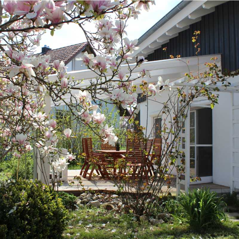 Die Terasse des Ferienhauses im Frühjahr bei der Magnolienblüte.
