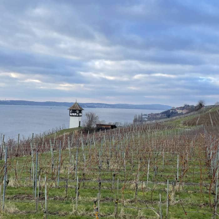 Türmle in der Nähe von Meersburg mit Weinbergen